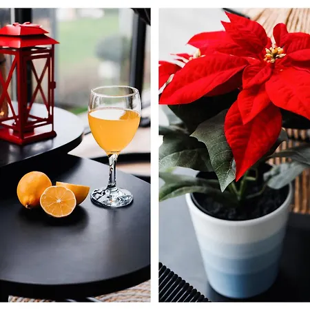 Apartman Wf Timeless With Terrace & Foosball *